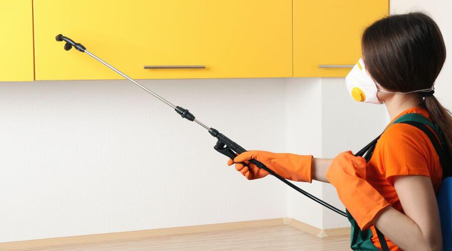 Why choose IPM Lady Lake for integrated pest management in Lady Lake